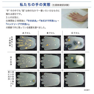 (新版)日本MERURU 戴CON神器+儲存盒 (門市現貨)